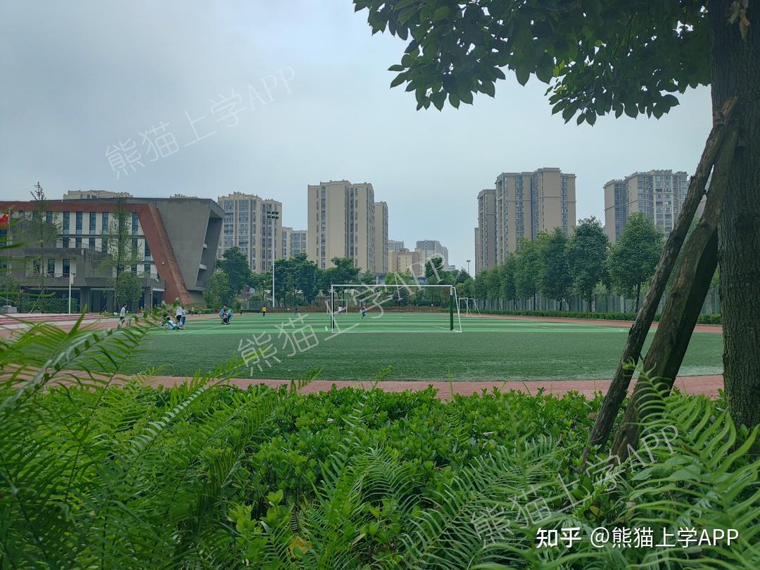 桐欣校区今年开始招生,今年招生范围和草堂小学子美校区一致,采用"