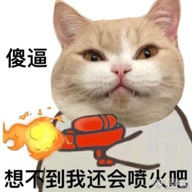 抖音猫咪喷水情侣头像