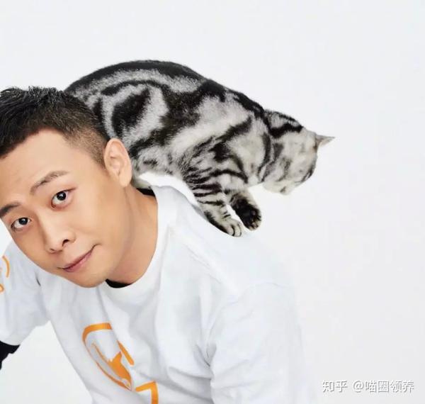 张译,因为你的猫,我终于记住了你