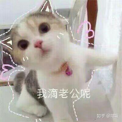 有什么适用于和老公/男票撒娇的可爱表情包?