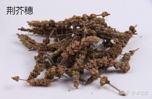 治疗荨麻疹的两味特效药—荆芥和防风