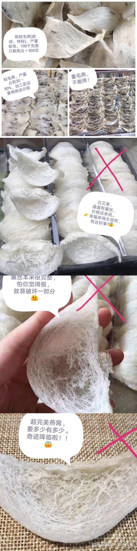 关于燕窝的一些漂白一些刷胶
