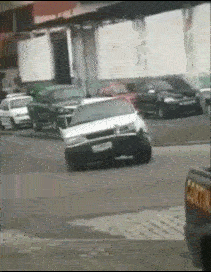 趣图gif爆笑萌萌哒这就让你也凉快凉快