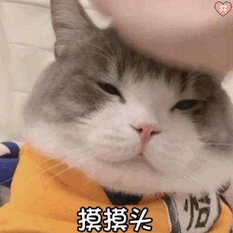 猫咪为什么对摸头杀没有抵抗力?