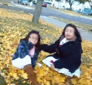 趣图gif搞笑:妹子坐稳了,起驾!