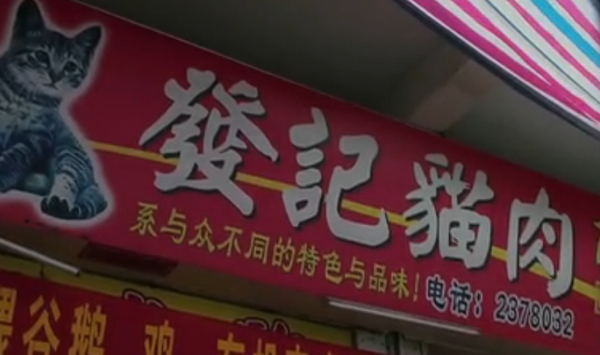 广州市的猫肉馆,经营红烧猫肉 龙虎斗等等