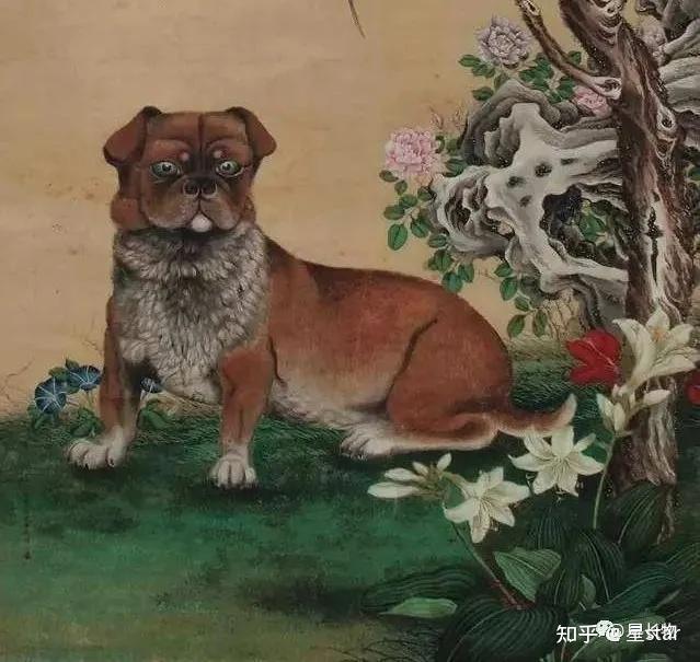 犬入丹青古画中的狗