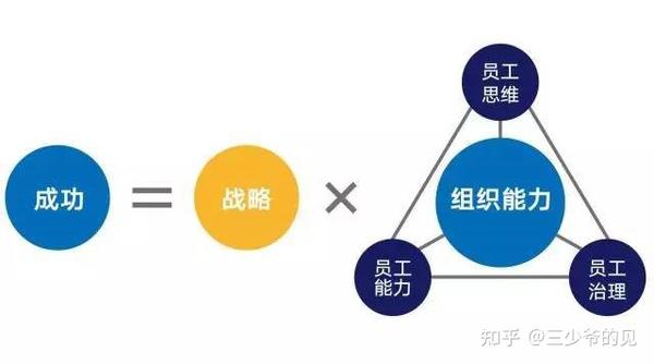组织能力建设的"杨三角理论"