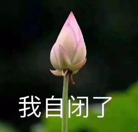 这时候就要祭出我成功混在家长群里的一些头像了,我一般不会加,但是