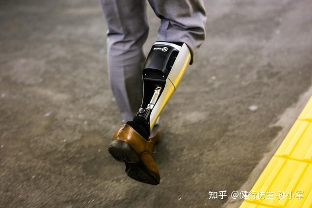 假肢分类及其构造概论