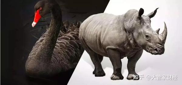 灰犀牛事件是什么意思