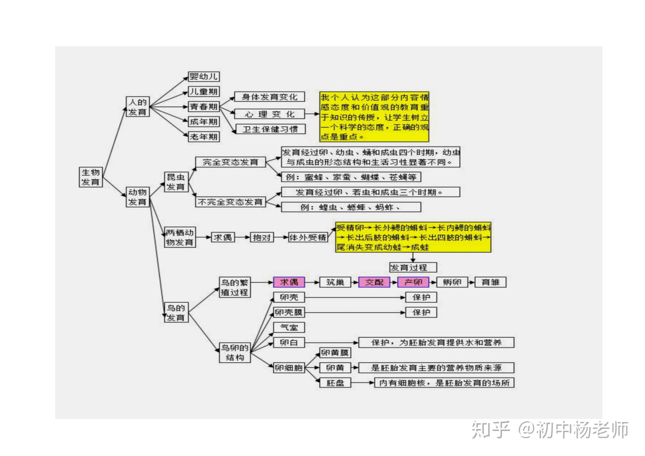 初中生物知识点思维导图