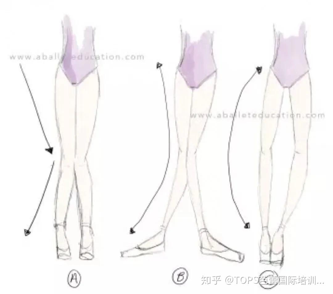 abc哪一种揭秘芭蕾舞者的体型和腿型的秘密