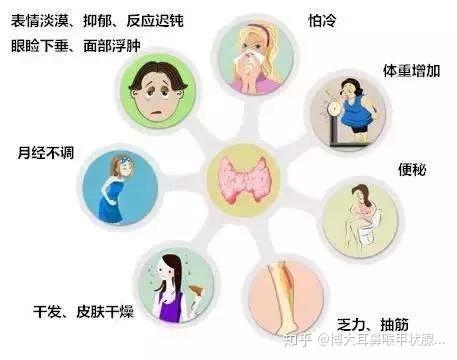 甲减如此可怕,究竟是如何引起的?