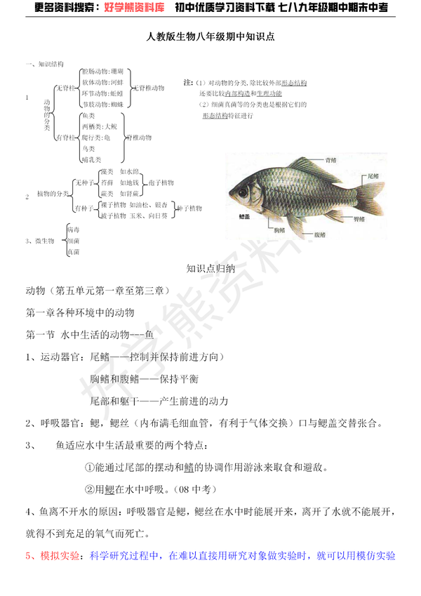 期中复习人教版初中生物八年级上册生物期中复习重点