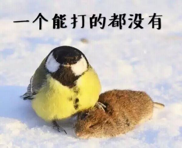 每天被学生气得半死是什么感受?