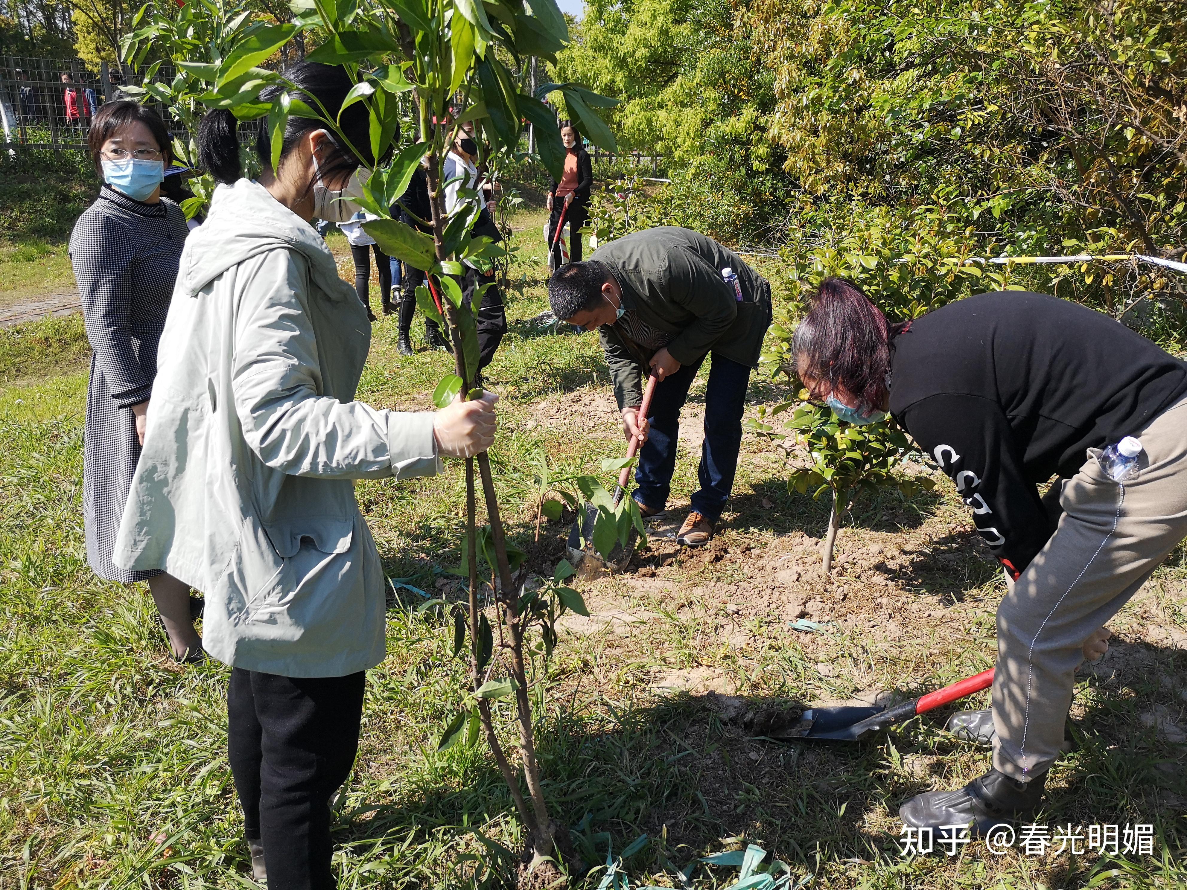 2021上海周边周末特色农家乐植树户外活动一日游