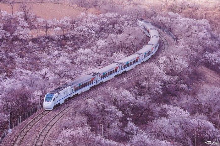开往春天的列车拍摄穿越花海的ndj3和谐长城号