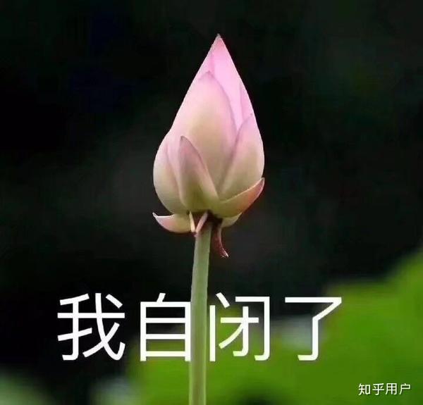 你闻过最难闻的物质是什么?