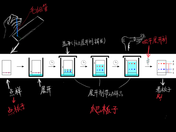 关于tlc那些你不得不知的问题|简介薄层色谱法