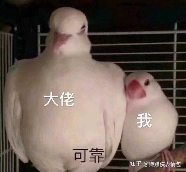 最新表情包图片:给你一个眼神,自己去体会,哟嚯