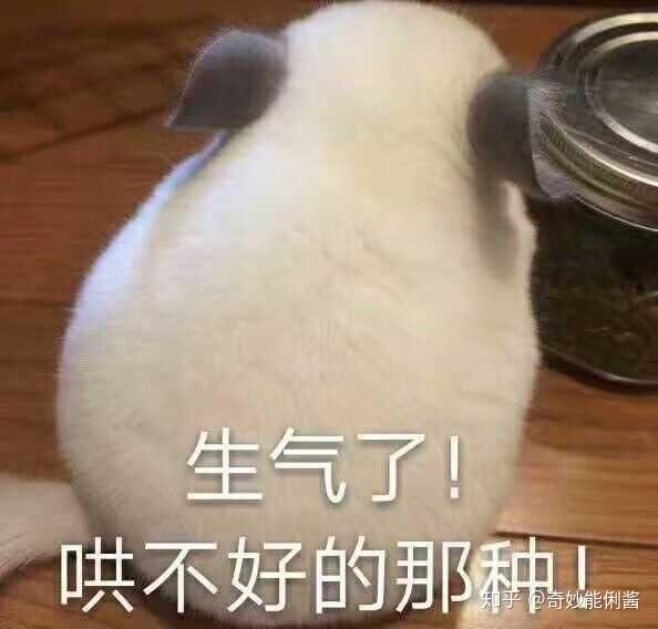 手机里你最不舍得删掉的一张照片是什么?