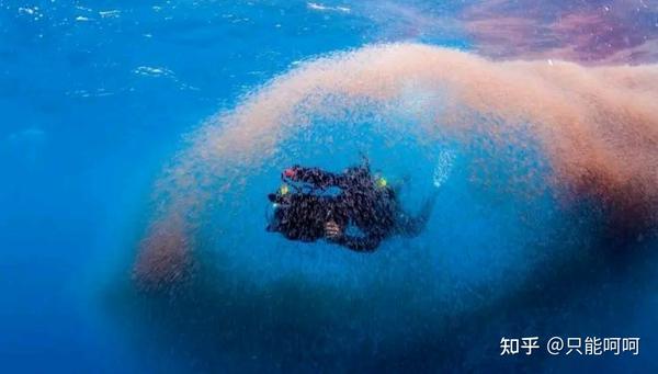 2021年我们的地球到底怎么了?(二)