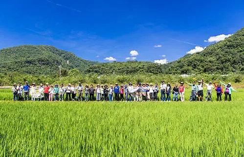 休闲农业与乡村旅游十大体验要素