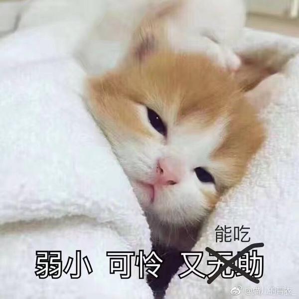 怎样才能在饿着肚子的情况下睡着觉?