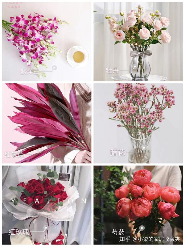 今生卖花,来世漂亮~花材分享认识各种花语