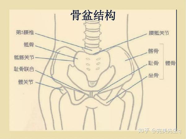 尾闾骨根节旋摆动,阳气生发,长寿之道 权成