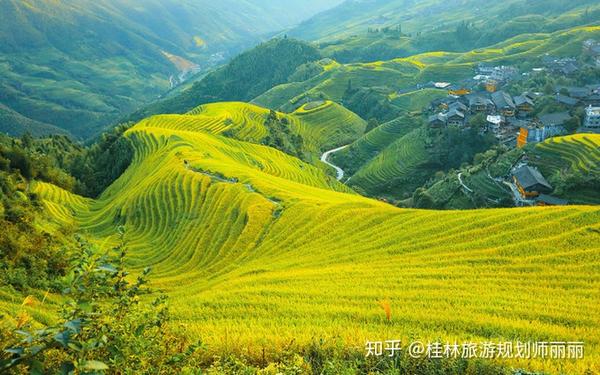 现在来桂林旅游游玩龙脊梯田才是最明智的选择本攻略自由行跟团游通用