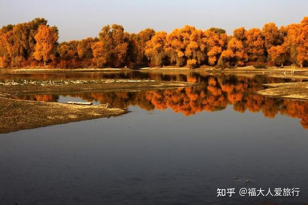 沙雅太阳岛的胡杨林就生长在塔里木河的流经地区.