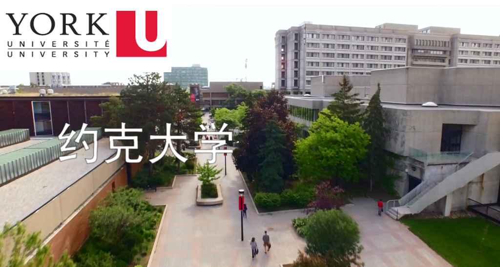 这就是加拿大约克大学中文版