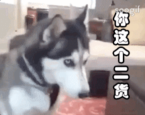 你有哪些关于猫狗的表情包?