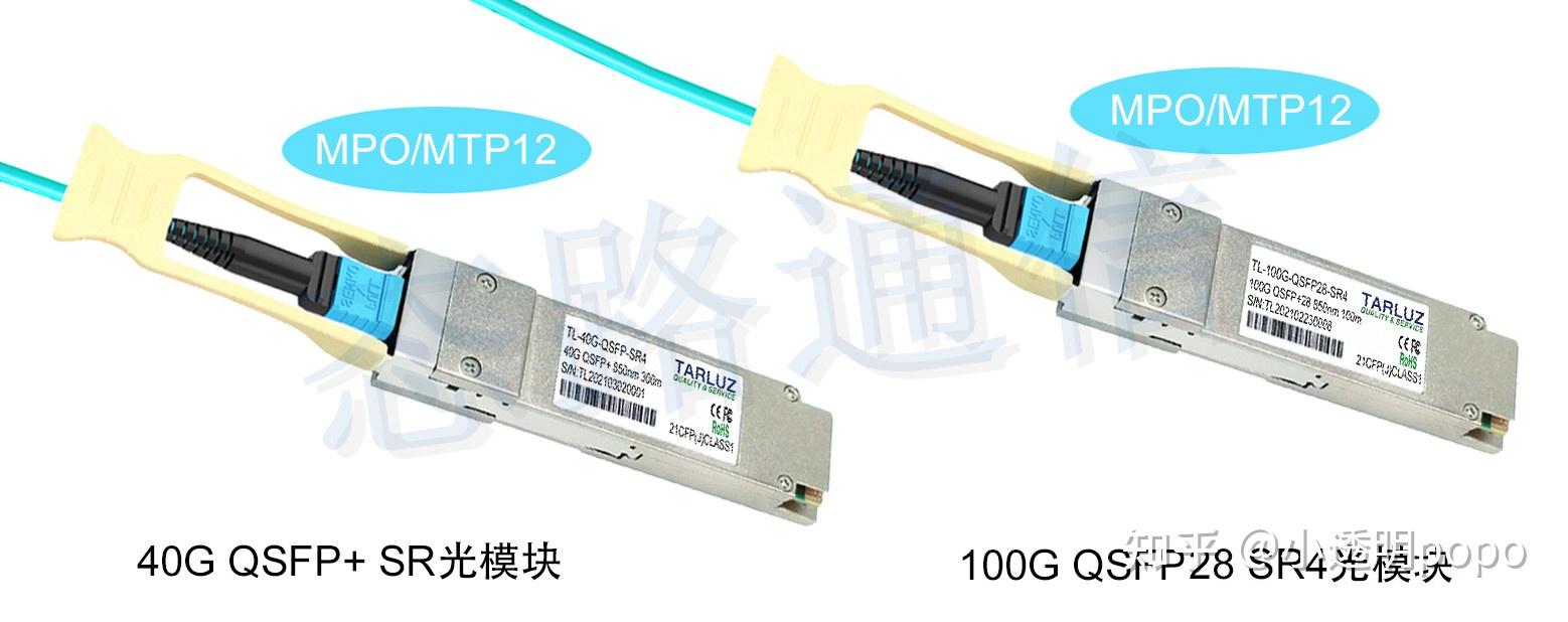 态路小课堂丨qsfpdd封装模式光模块接口类型lcmpo12mpo16mpo24cscn