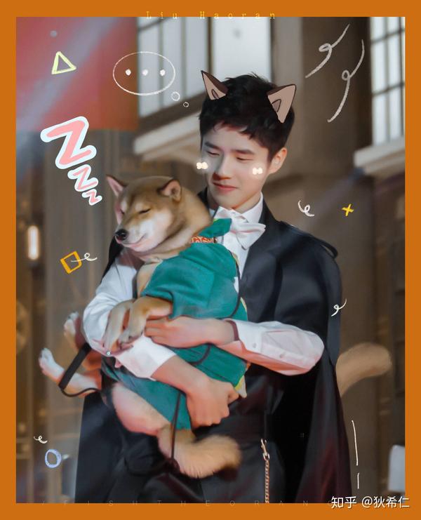 刘昊然为什么长的那么像柴犬?