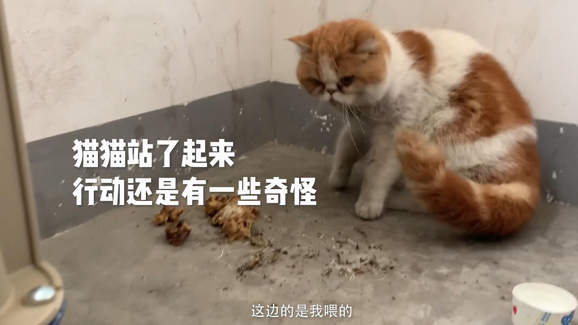 你就不能瞅瞅我?嗯?