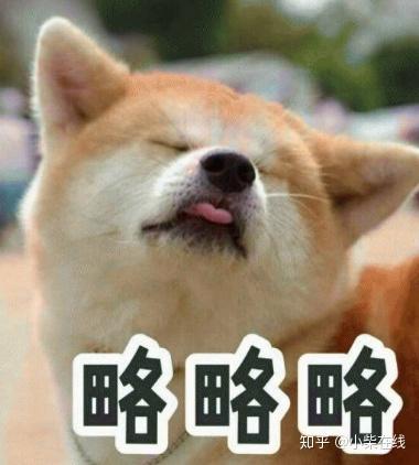 doge是柴犬吗?看完柴犬表情包,网友:想养狗