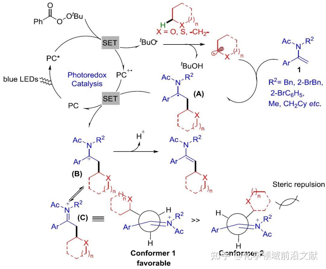 南京工业大学赵恺课题组Green Chem 无金属条件下可见光诱导烯酰胺与醚或烷烃的C sp2 C sp3 脱氢交叉偶联反应 知乎