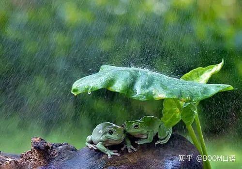 多地下暴雨暴雨英语怎么说