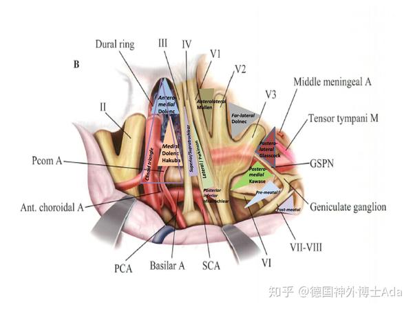 窦周隙 zhuanlan.zhihu.com