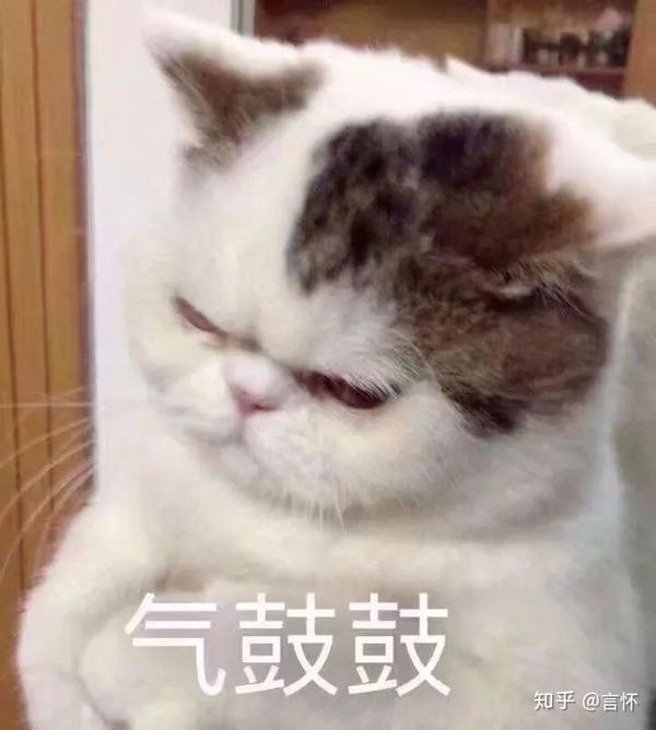 有哪些可爱逗比的表情包?