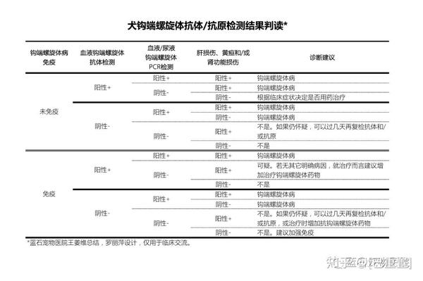 犬钩端螺旋体抗体/抗原检测结果判读