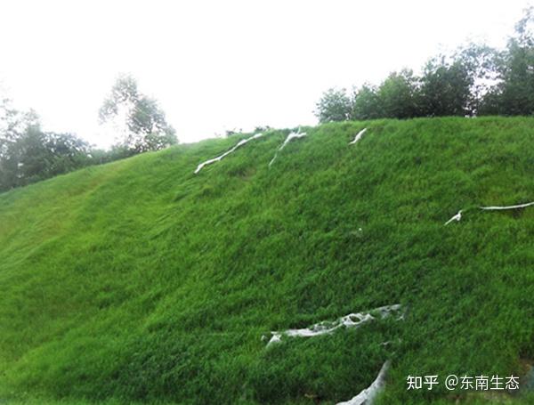 高速公路的边坡绿化概述