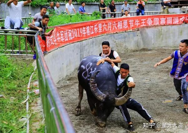 用民族语言祈求山神和"秧苗土地"庇佑仡佬族人民五谷丰登,六畜兴旺.
