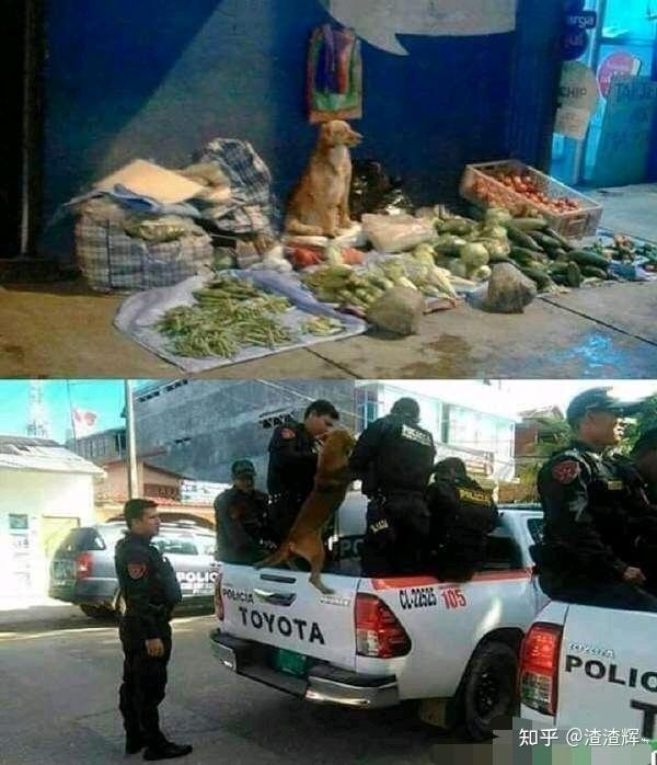 积攒了好几个月的搞笑图片,一次性贡献出来
