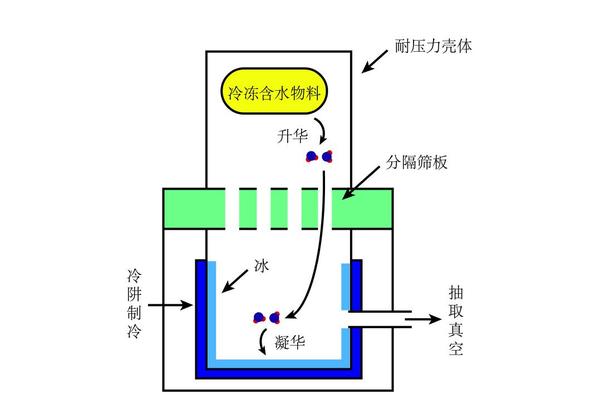 常见小型冻干机结构及原理示意图