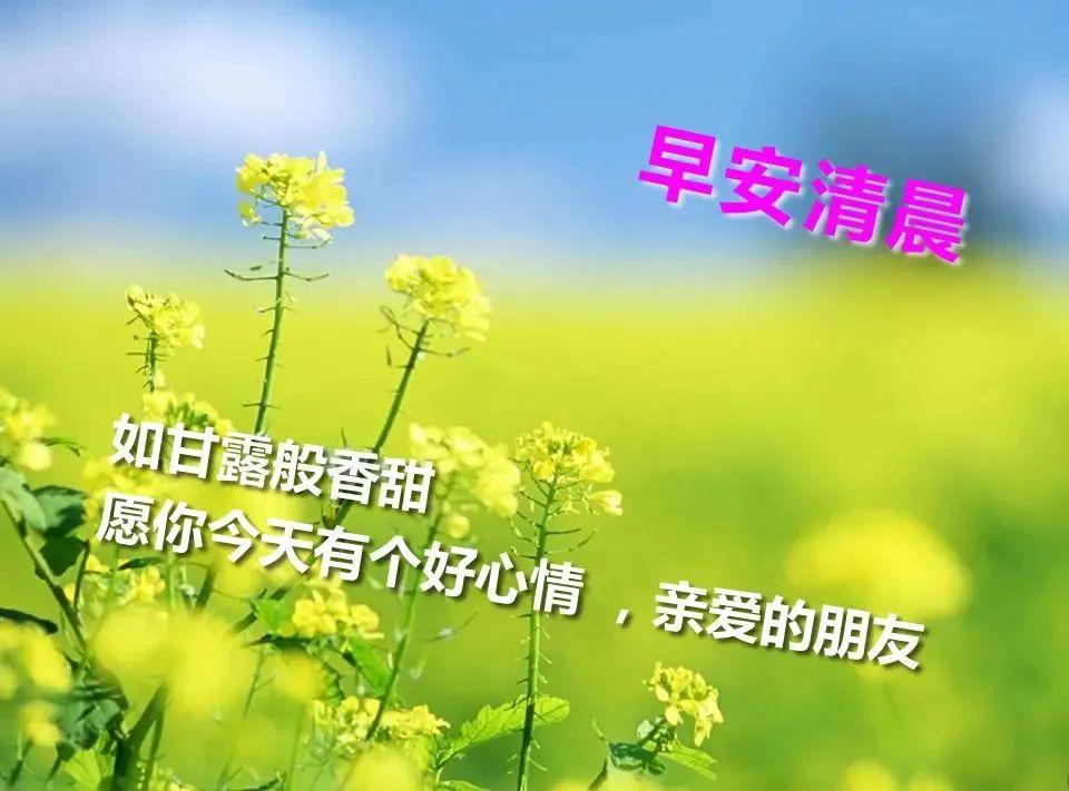 9月6日超好看的早安祝福表情图片大全动态带字特别幸福的早安问候祝福