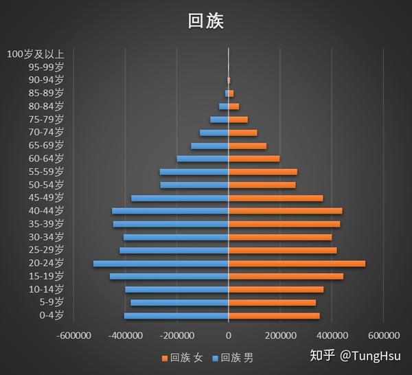 这是汉族的人口金字塔图,由于汉族人口较多,所以和全国图很相似,接